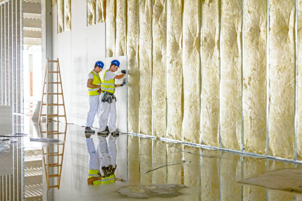 Best Soundproof Insulation  in Tipton, MO